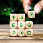 Finanças verdes e o futuro das empresas brasileiras