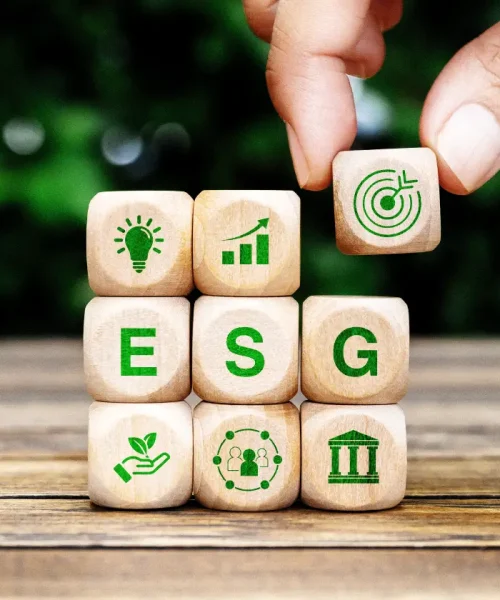 Finanças verdes e o futuro das empresas brasileiras